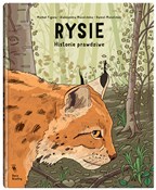 Rysie Hist... - Daniel Mizieliński, Aleksandra Mizielińska, Michał Figura -  foreign books in polish 