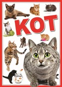 Koty - Opracowanie Zbiorowe -  Polish Bookstore 