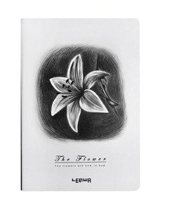 Obrazek Notes B6/96K Lilia