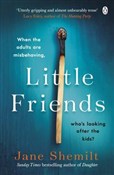polish book : Little Fri... - Jane Shemilt