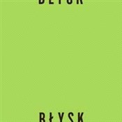 polish book : Błysk (Vin... - Hey
