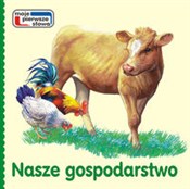 polish book : Nasze gosp... - Andrzej Kłapyta