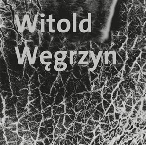 Picture of Witold Węgrzyn Nieuchwytna materialność