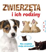 polish book : Zwierzęta ... - Wydawnictwo Wilga