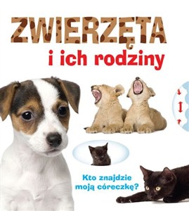 Obrazek Zwierzęta i ich rodziny