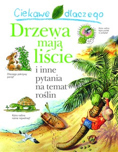 Obrazek Ciekawe dlaczego drzewa mają liście
