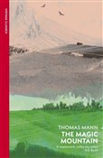 polish book : The Magic ... - Thomas Mann