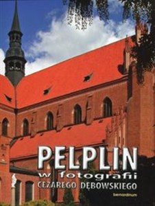 Obrazek Pelplin w fotografii Cezarego Dębowskiego