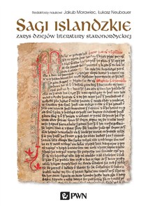 Obrazek Sagi islandzkie Zarys dziejów literatury staronordyckiej