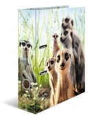 polish book : Segregator...