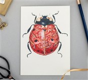 Polska książka : Karnet A06...