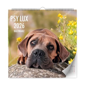 Obrazek Kalendarz psy lux 2026
