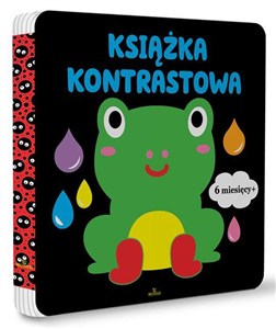 Picture of Książka kontrastowa 6+