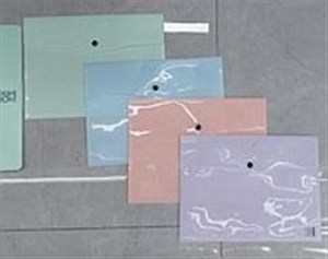 Picture of Teczka A4 plastikowa zapinana (12szt)