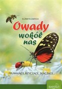 polish book : Owady wokó... - Elżbieta Zarych