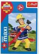 Polska książka : Puzzle min...