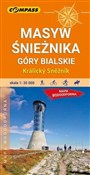 Polska książka : Masyw Śnie...