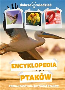 Obrazek Encyklopedia ptaków Dobrze wiedzieć Poznajesz fascynujący świat ptaków