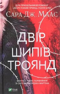 Obrazek Dvіr shipіv і troyand