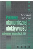 Podstawy e... - Andrzej Lisowski -  foreign books in polish 