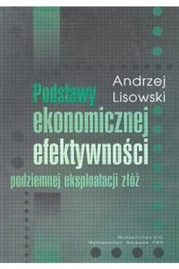 Obrazek Podstawy ekonomicznej efektywności podziemnej eksp