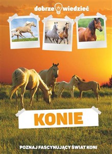 Obrazek Konie Dobrze wiedzieć Poznaj fascynujący świat koni