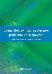 Obrazek Ocena efektywności społecznej projektów rozwojowych