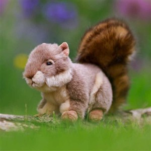 Picture of Pluszowa wiewiórka szara