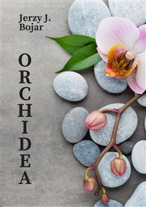 Picture of Orchidea