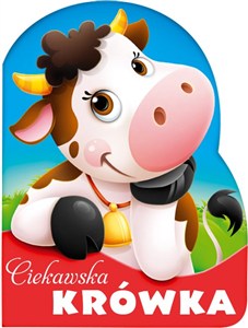 Obrazek Ciekawska krówka