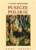 Zobacz : Puszcze po... - Antoni Ferdynand Ossendowski