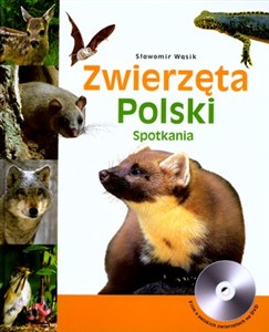 Obrazek Zwierzęta Polski
