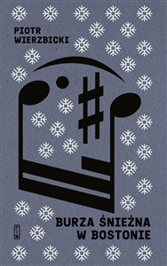 Obrazek Burza śnieżna w Bostonie