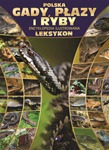 Picture of Polska gady płazy i ryby Encyklopedia ilustrowana