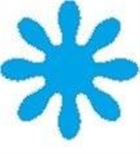 Obrazek Dziurkacz ozdobny - Kwiatek 2,5cm MIX