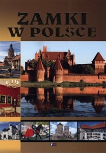 Obrazek Zamki w Polsce