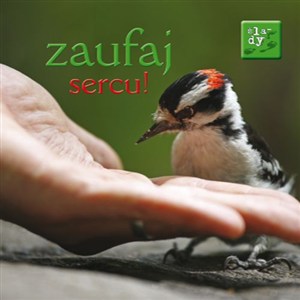 Obrazek Ślady 4 Zaufaj sercu