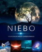 Polska książka : Niebo Komp... - Przemysław Rudź