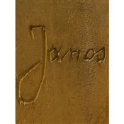 Zobacz : Janos - Beata Zalot, Joanna Daranowska-Łukaszewska, Jacek Kubiena