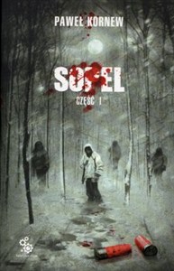 Obrazek Sopel część 1