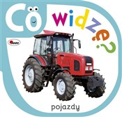 Co widzę P... - Piotr Kozera -  books in polish 