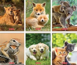 Picture of Zeszyt A5/32K kratka z marginesem Animals (10szt)