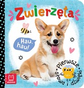 Pierwsze s... - Agnieszka Bator -  Książka z wysyłką do UK