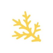 Dziurkacz ... -  Książka z wysyłką do UK