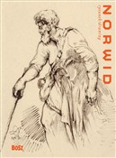 Polska książka : Norwid Rys... - Agnieszka Widacka-Bisaga