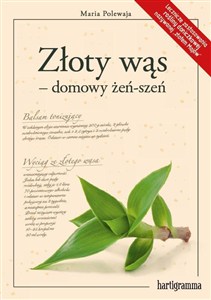 Obrazek Złoty wąs - domowy żeń-szeń