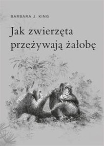 Obrazek Jak zwierzęta przeżywają żałobę