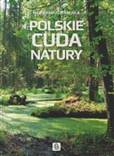 Polskie cu... - Michał Duława, Jacek Bronowski -  books from Poland