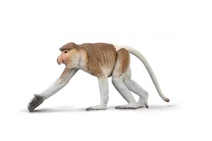 Obrazek Nosacz Sundajski