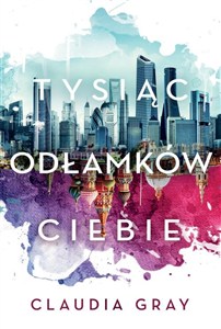 Obrazek Tysiąc odłamków ciebie